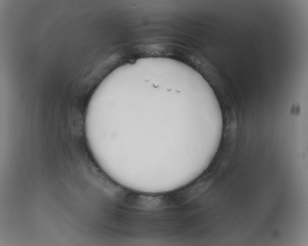 X0000111880469200908201301