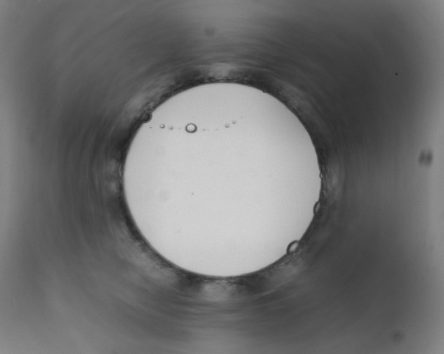 X0000111880470200908201301