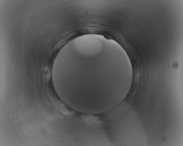 X0000111880471200908201301
