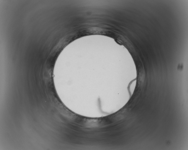 X0000111880473200908201301