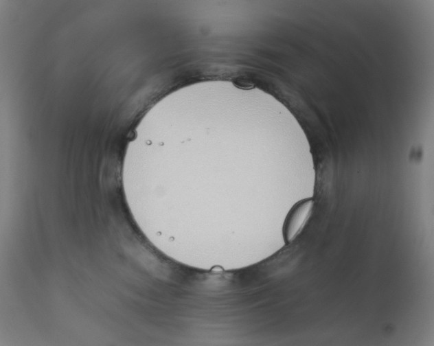 X0000111880474200908201301