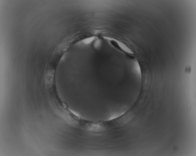 X0000111880475200908201301