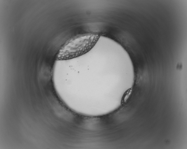 X0000111880476200908201301