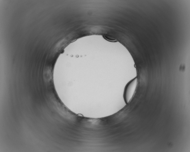 X0000111880478200908201301