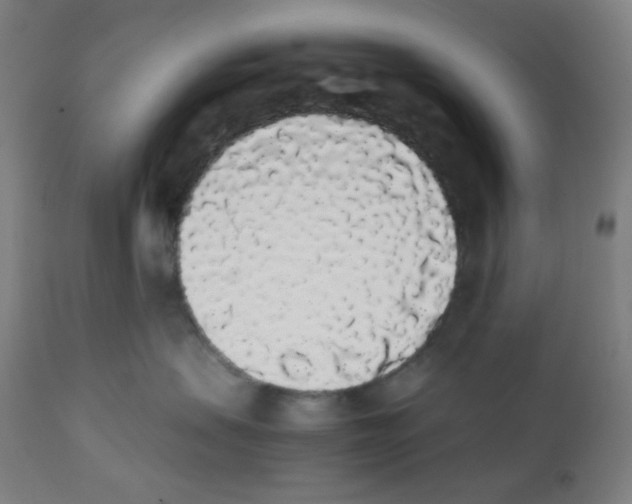 X0000111880479200908201301