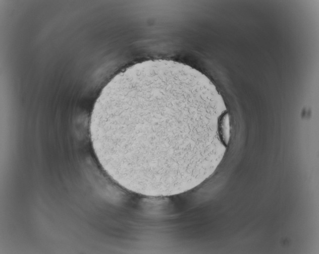 X0000111880480200908201301