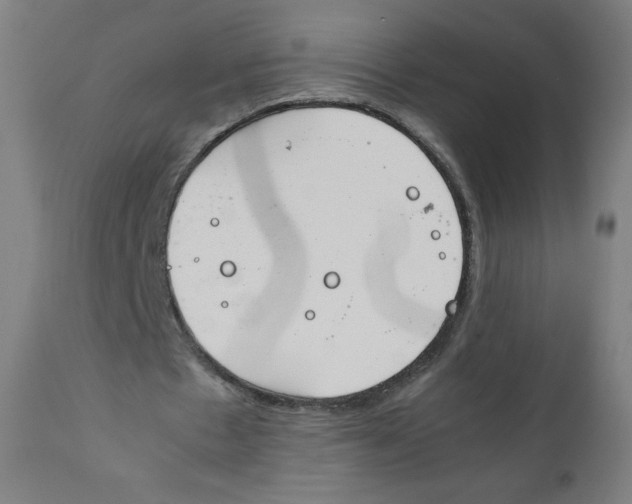 X0000111880481200908201301