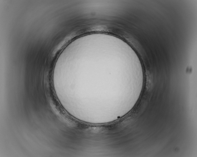 X0000111880482200908201301