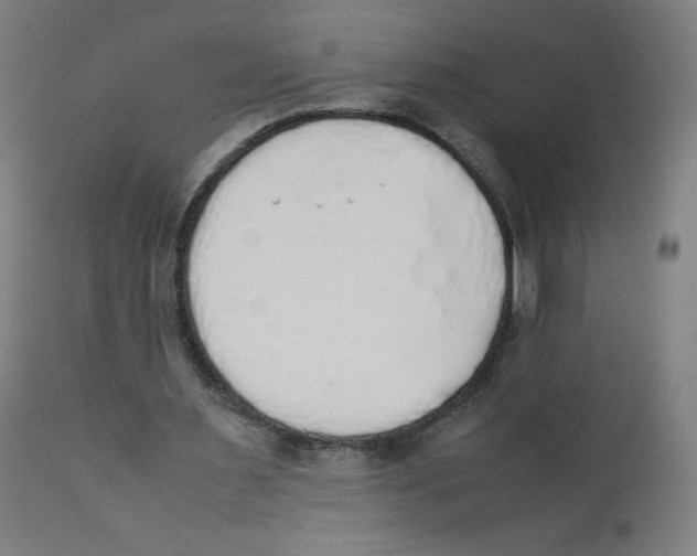 X0000111880483200908201301