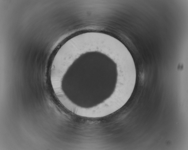 X0000111880484200908201301