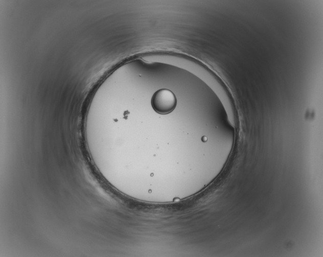 X0000111880485200908201300
