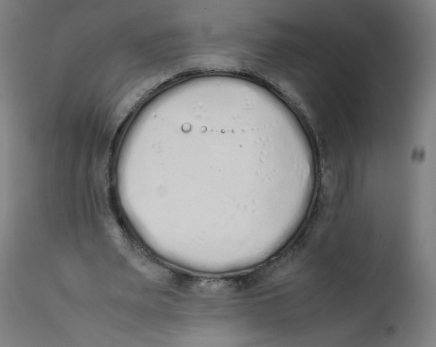 X0000111880487200908201300
