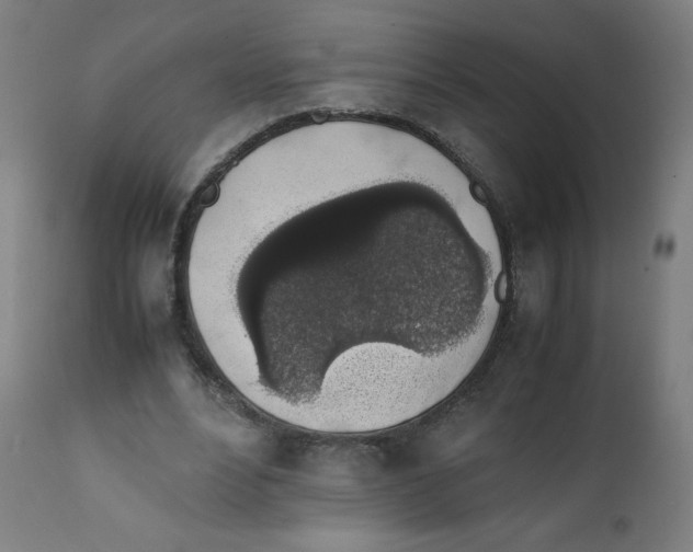 X0000111880488200908201300