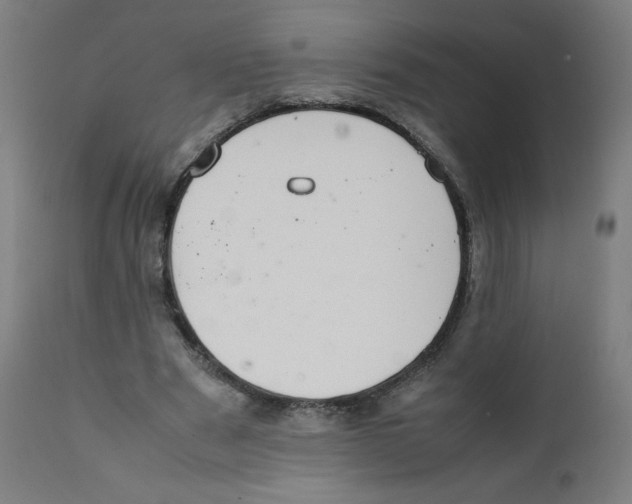X0000111880489200908201300