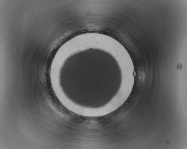 X0000111880492200908201300