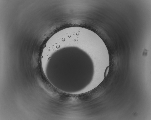 X0000111880496200908201300