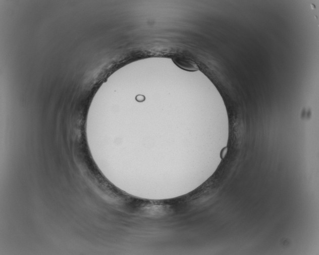 X0000111880499200908201300