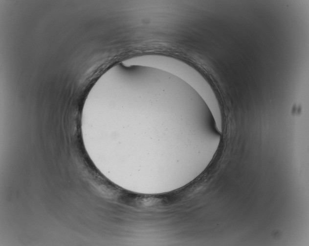 X0000111880501200908201300