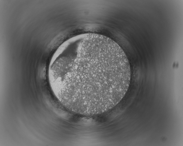 X0000111880502200908201300