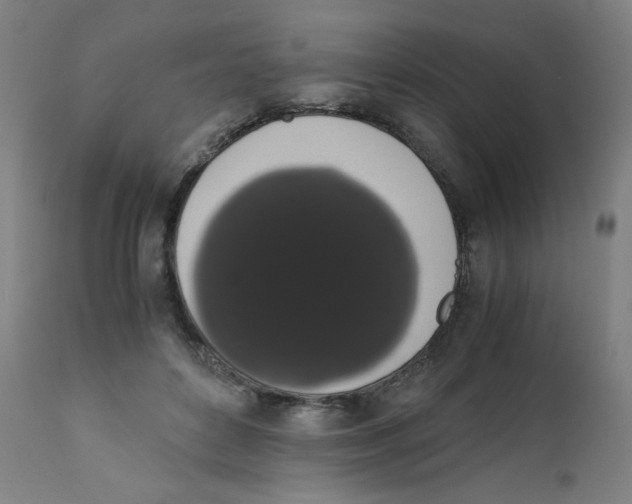 X0000111880504200908201300