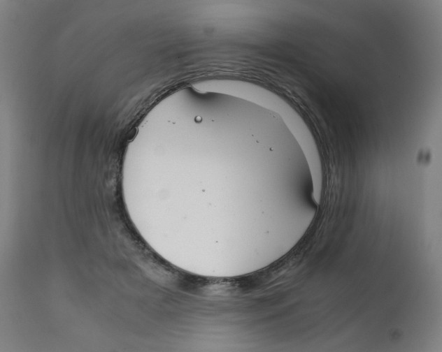 X0000111880505200908201300