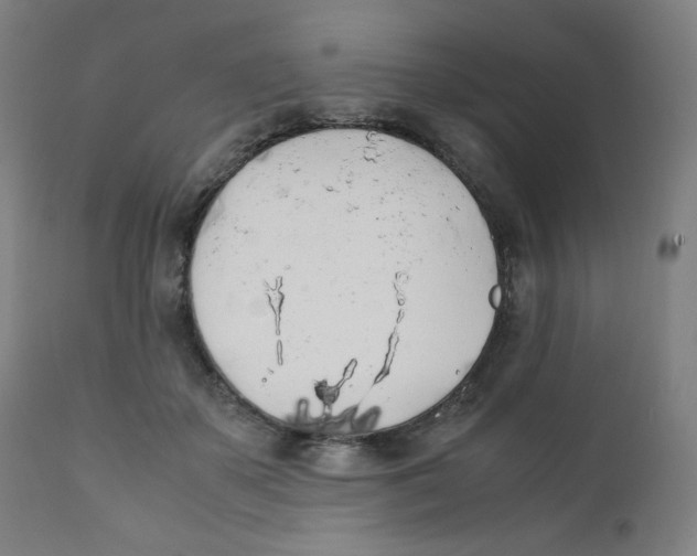 X0000111880507200908201300
