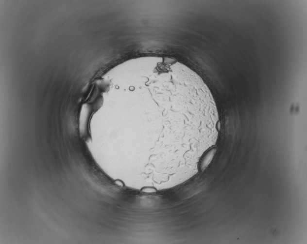 X0000111880508200908201300
