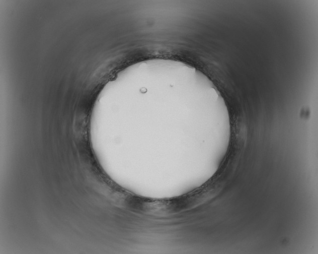 X0000111880511200908201300