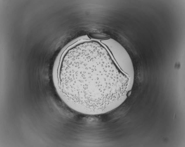 X0000111880512200908201300