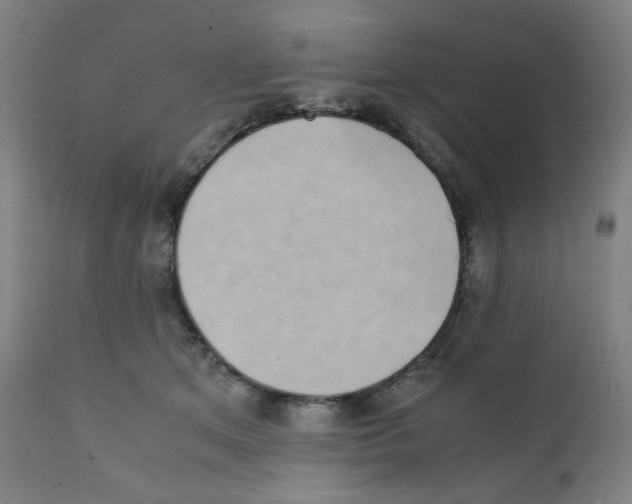 X0000111880513200908201300