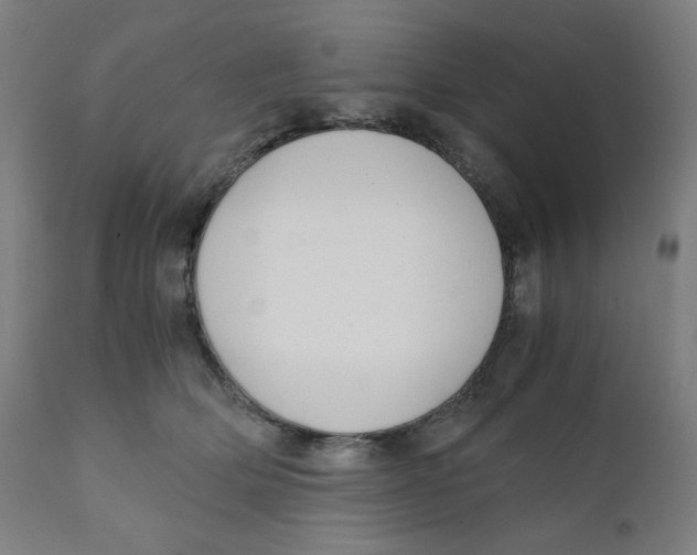X0000111880514200908201300