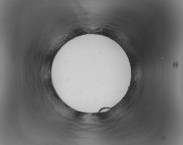 X0000111880515200908201300