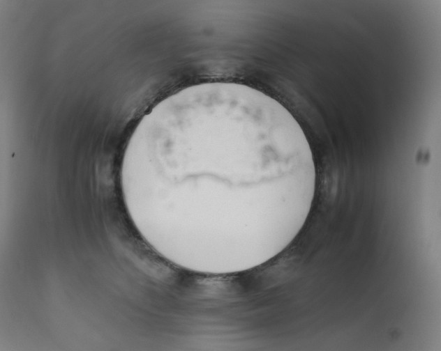 X0000111880516200908201300