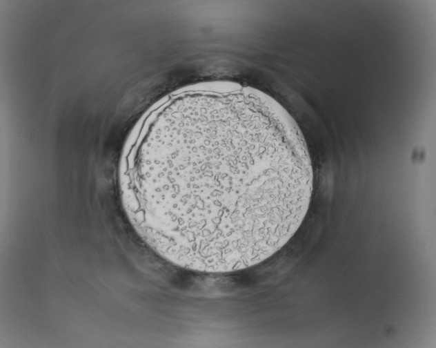 X0000111880517200908201300