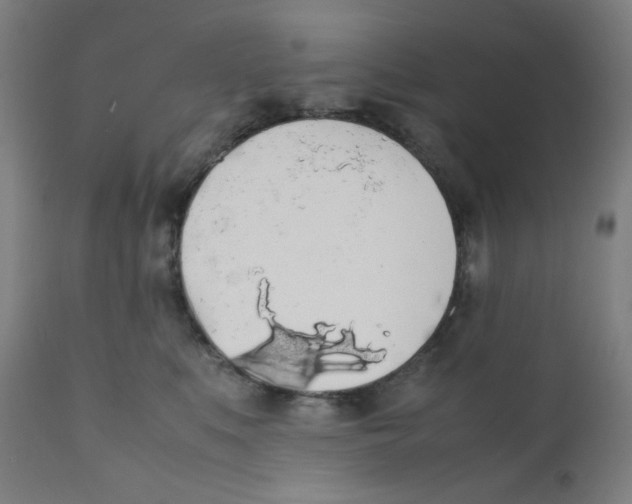 X0000111880519200908201300