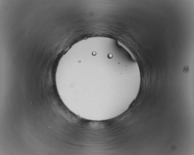 X0000111880520200908201300