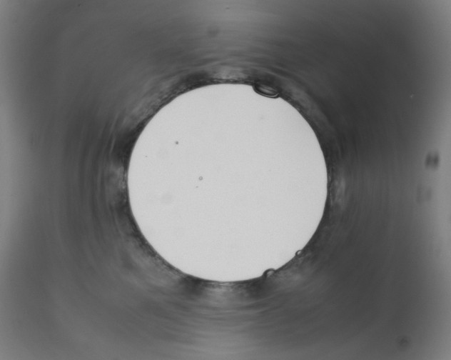 X0000111880521200908201300