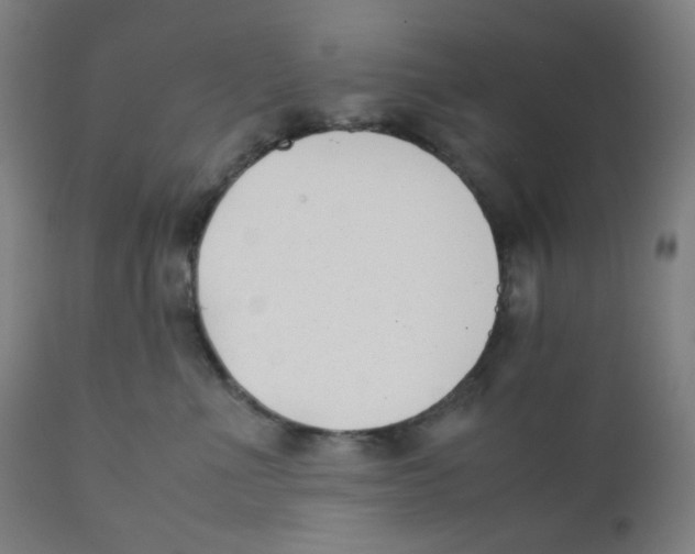 X0000111880523200908201300