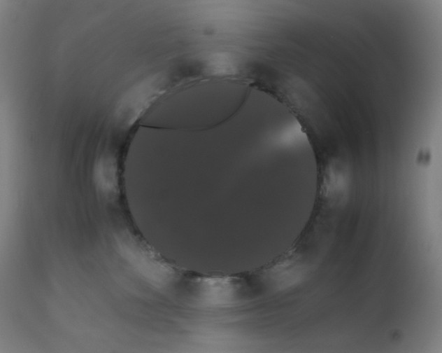 X0000111880524200908201300