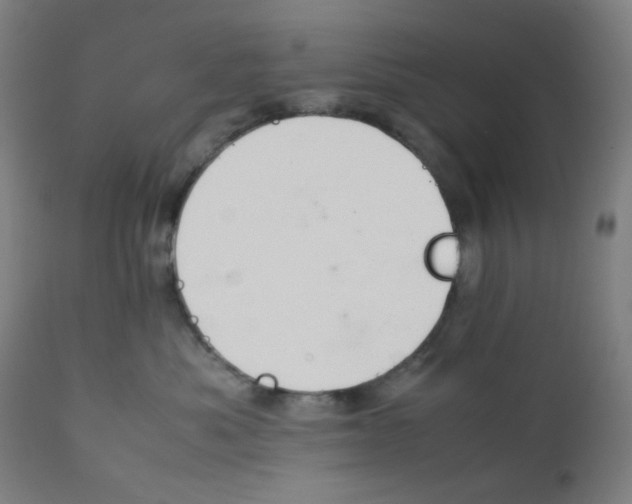X0000111880525200908201300