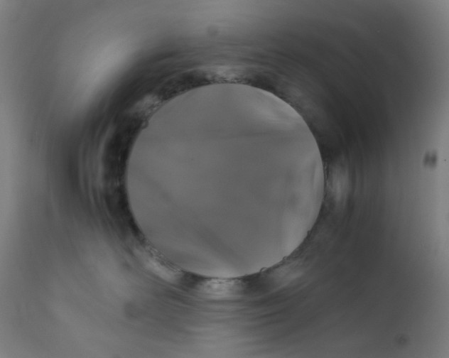 X0000111880526200908201300