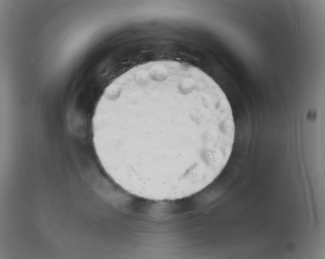 X0000111880527200908201300