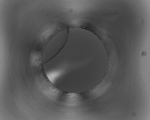 X0000111880528200908201300