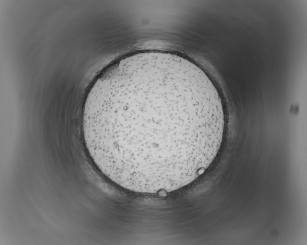 X0000111880529200908201259