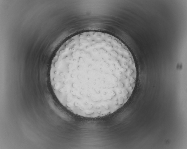 X0000111880530200908201259