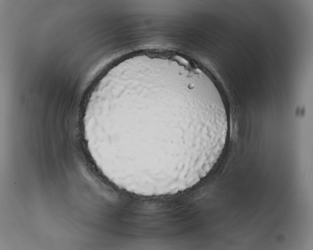 X0000111880531200908201259