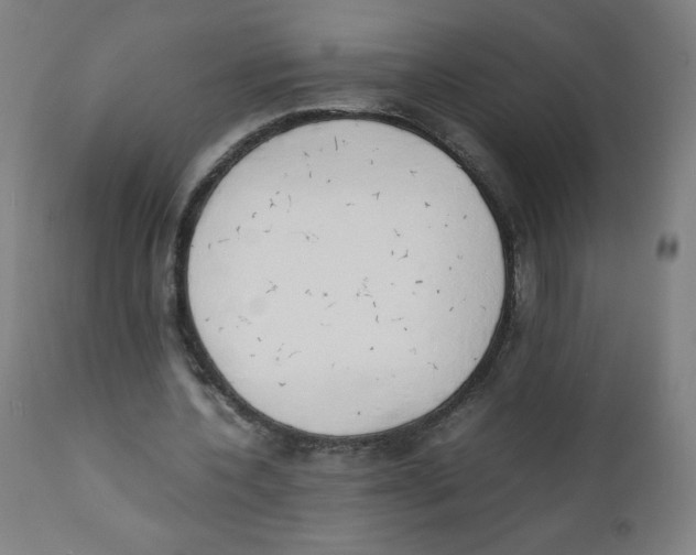 X0000111880532200908201259