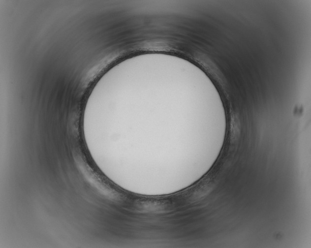 X0000111880533200908201259