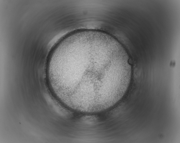 X0000111880536200908201259