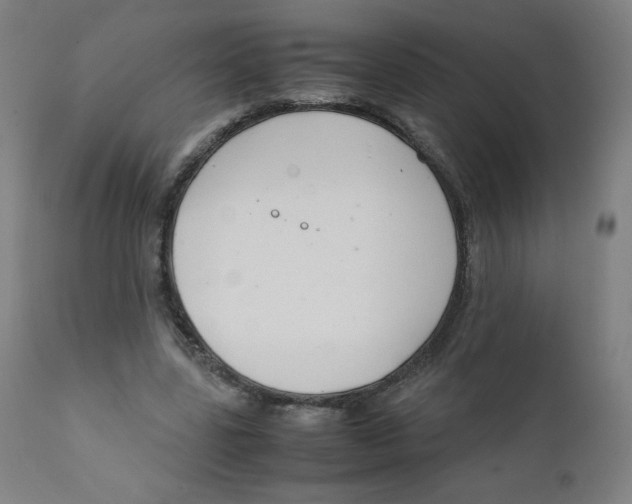 X0000111880539200908201259
